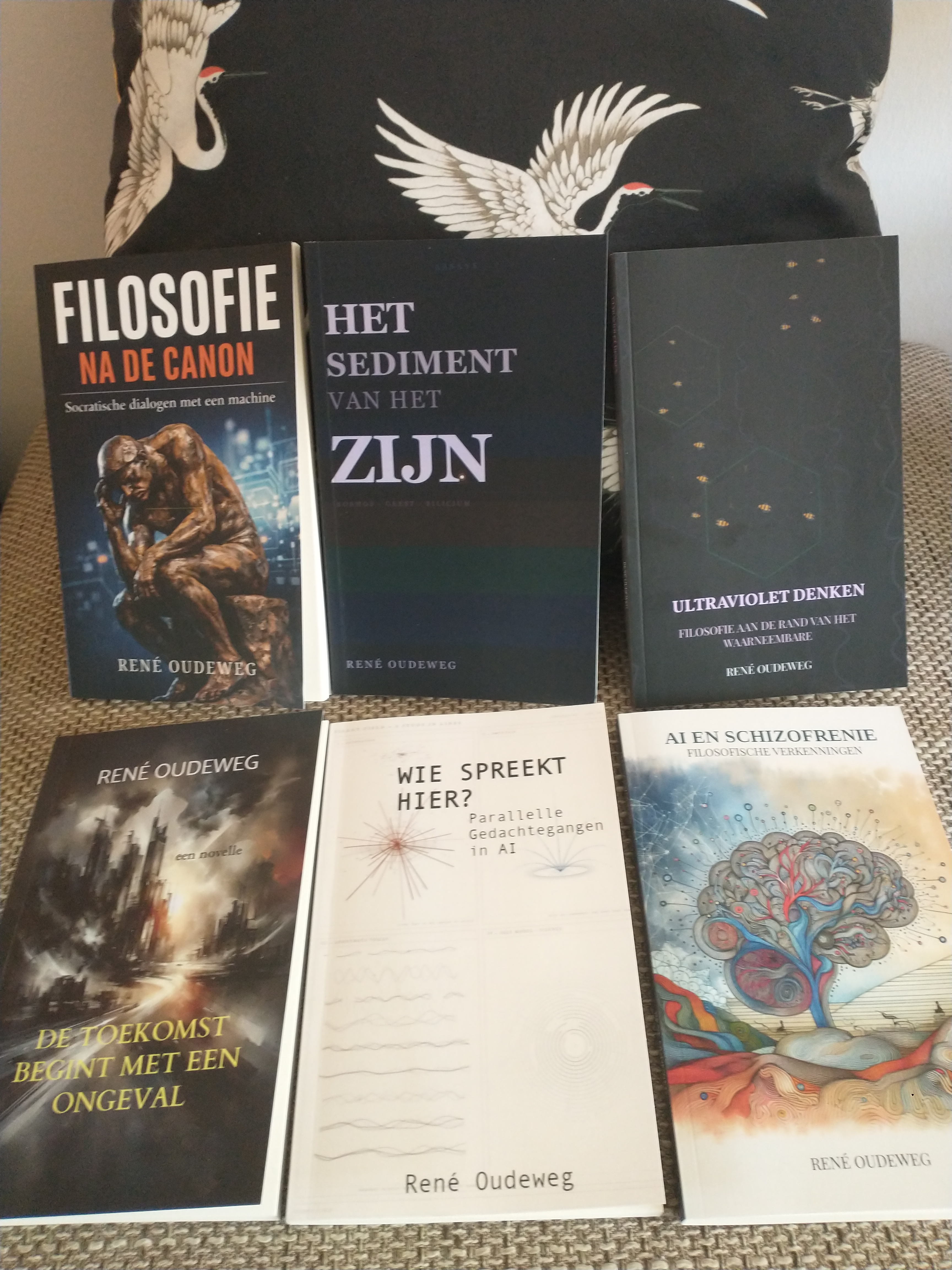 Boeken op plank met denker